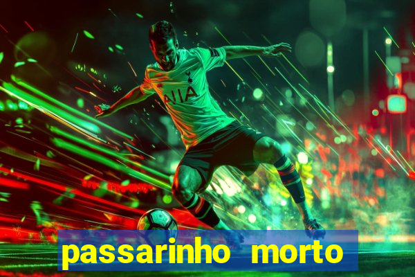 passarinho morto significado espiritual